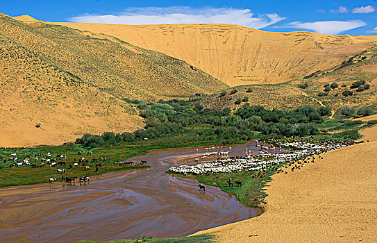 河,蒙古,亚洲