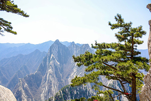 华山春日盛景