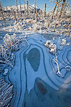 冰,形态,兴趣,图案,挨着,苏厄德公路,英里,特纳甘湾,阿拉斯加,冬天