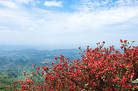 山岭春色