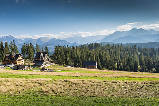 风景,山,徒步旅行,波兰,欧洲