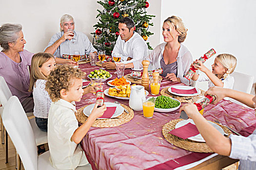 家庭,圣诞晚餐,一起,桌子,厨房