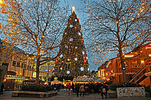 圣诞树,圣诞市场,多特蒙德,鲁尔区,北莱茵威斯特伐利亚,德国,欧洲