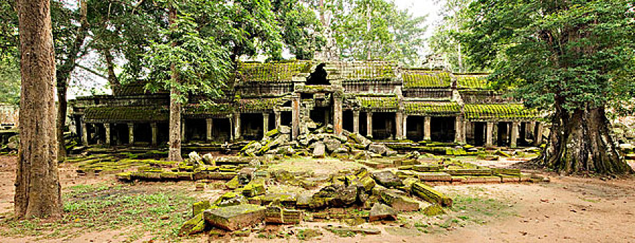 柬埔寨,吴哥窟,塔普伦寺,庙宇,废弃,北方,入口