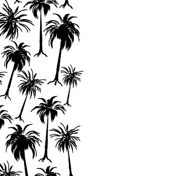棕榈树,边界,荒凉,黑白,留白