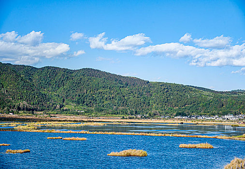 云南省腾冲北海湿地