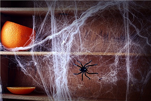 怪异,万圣节,蜘蛛网,背景