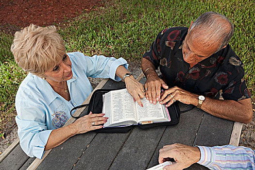 劳德代尔堡,佛罗里达,美国,伴侣,读,圣经,一起