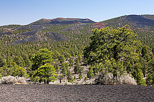 美国,亚利桑那,日落,火山口,火山,国家纪念建筑,沙丘