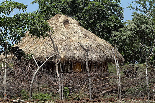 传统,稻草,小屋,奥莫山谷,埃塞俄比亚