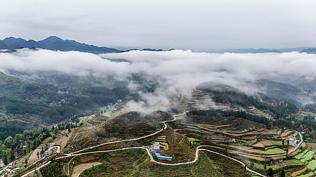 重庆酉阳,青山雾漫别样美