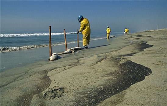 石油泄露,清洁,海滩,亨丁顿海滩,加利福尼亚