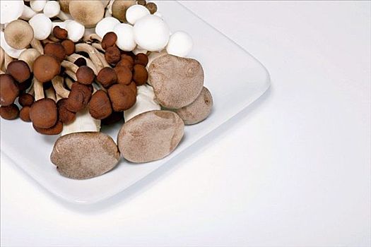 种类,蘑菇,白色,盘子,白色背景