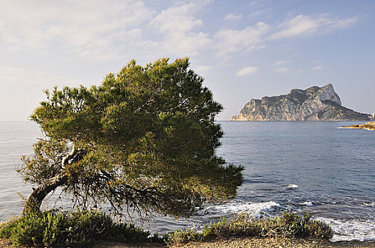 远景,卡培,白色海岸,阿利坎特,西班牙