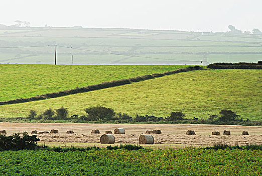 干草包,土地,爱尔兰