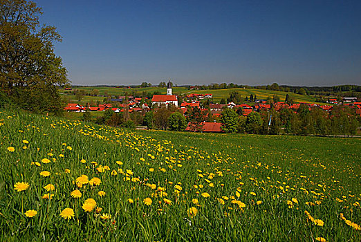 德国,巴伐利亚,高山,春天