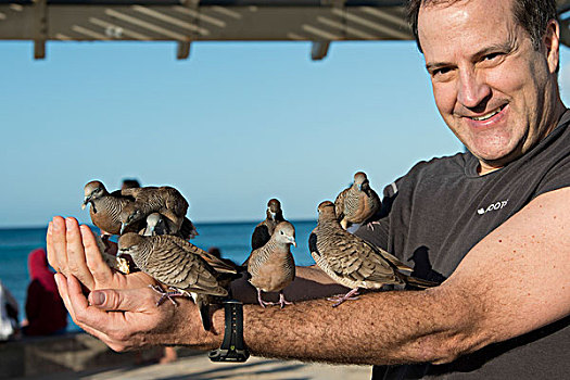 男人,喂食,鸽子,手臂,怀基基海滩,钻石海岬,檀香山,瓦胡岛,夏威夷,美国