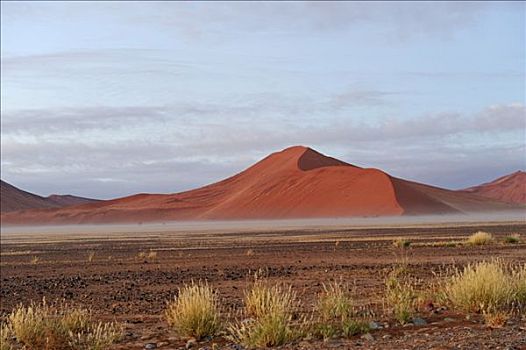 沙丘,靠近,晨雾,纳米比亚,非洲