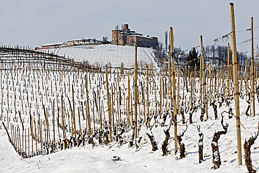 库内奥,地区,意大利,产酒区,冬天,雪