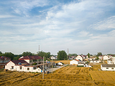 夏日苏北田园风光