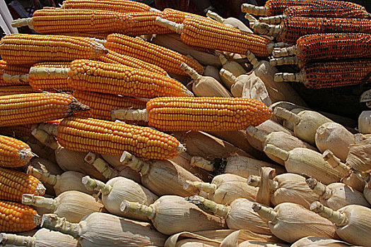 玉米,蔬菜,孟加拉