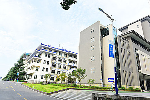 校园道路风景