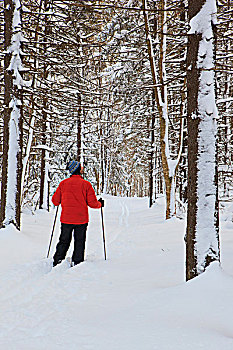 一个,男人,越野滑雪,预留,温莎公爵,马萨诸塞