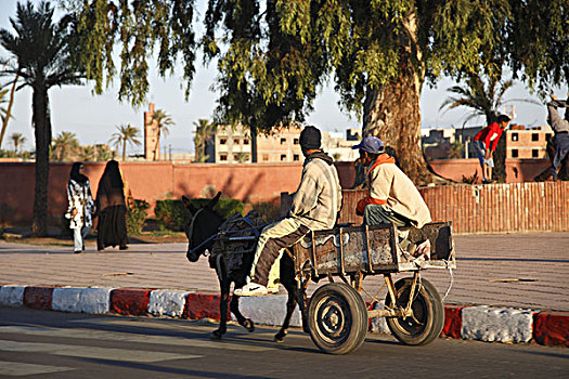 非洲,北非,摩洛哥,玛拉喀什,麦地那,驴,手推车