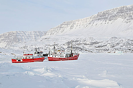 冰冻,港口,迪斯科,岛屿,格陵兰,北极,北美