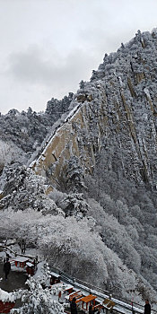 华山雪后苍龙岭