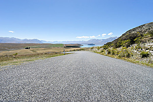 沥青,道路,靠近,湖,夏天,新西兰