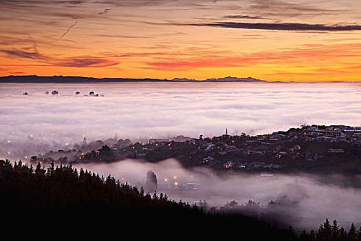 烟雾,早,冬天,云,层次,黎明,毯子,中心,城市,坎特伯雷,新西兰