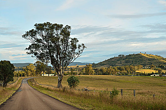 乡村,靠近,新南威尔士,澳大利亚