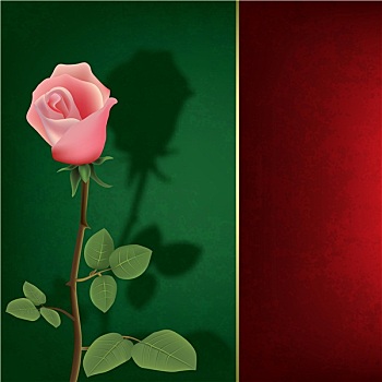 抽象,低劣,花,背景,玫瑰