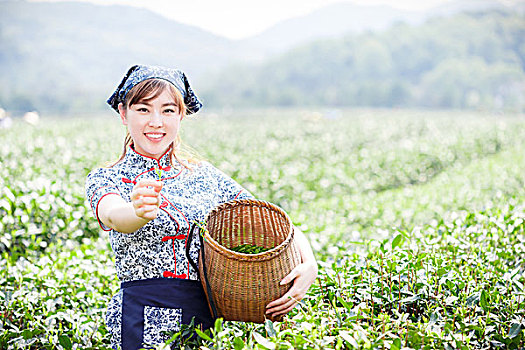 亚洲人,漂亮,女孩,种植园