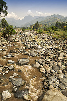 石头,干燥,河,鲁文佐里山,乌干达
