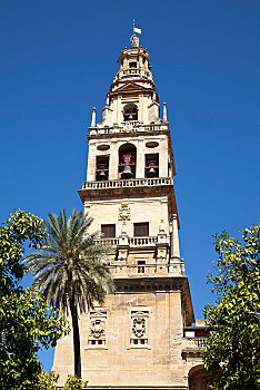 钟楼,清真寺,大教堂,科多巴,安达卢西亚,西班牙,欧洲