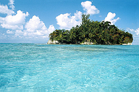 小岛,茂密,绿色,植被,棕榈树,一个,蓝色,海洋,蓝天,白色,蓬松,云,牙买加
