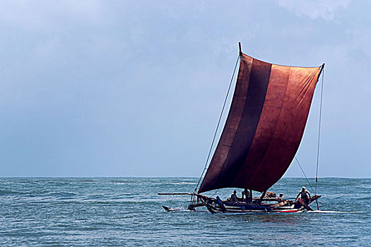 渔业,帆船,陆地,斯里兰卡,七月,2007年
