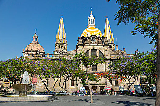 城市教堂,广场,瓜达拉哈拉,墨西哥