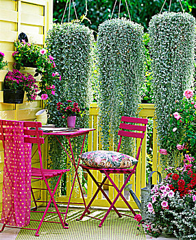 紫色,桌子,椅子,夏天,露台,仰视,植物,层叠,悬挂,篮子