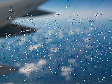 霜,窗户,飞机