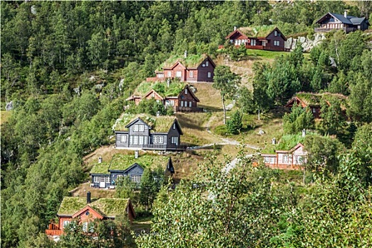 特色,挪威,房子,草,屋顶