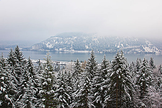 第一,冬天,雪,哥伦比亚河峡谷国家风景区,俄勒冈,美国