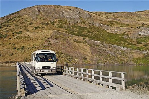 巴士,穿过,木桥,托雷德裴恩国家公园,巴塔哥尼亚,智利,南美