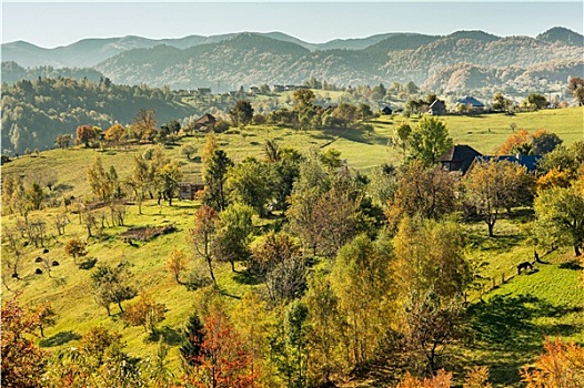 乡村,风景,罗马尼亚