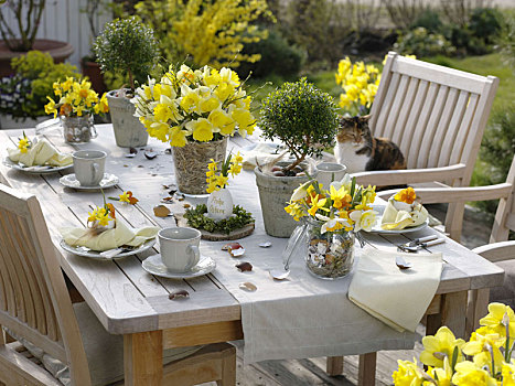 水仙花,复活节餐桌,装饰,平台