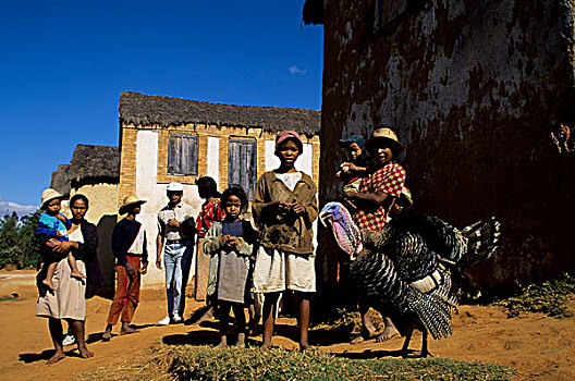 马达加斯加,靠近,土耳其,家庭,正面,农舍