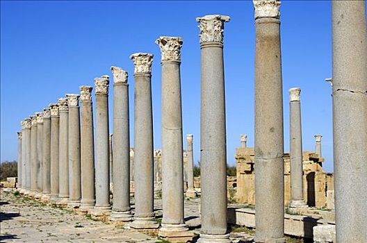古老,柱廊,科林斯地峡,罗马,遗址,莱普蒂斯马格纳,利比亚
