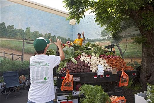 农民,花椰菜,儿子,展示,市场,新奥尔良,路易斯安那,美国